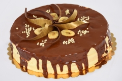 DSC_7534